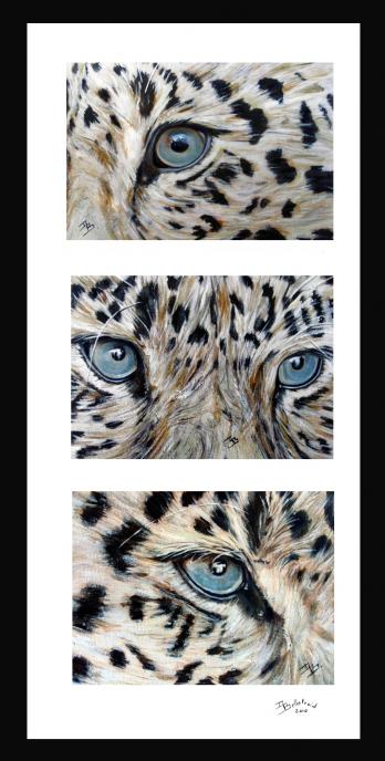 Blue eyes ( triptyque ) - Danielle Bellefroid