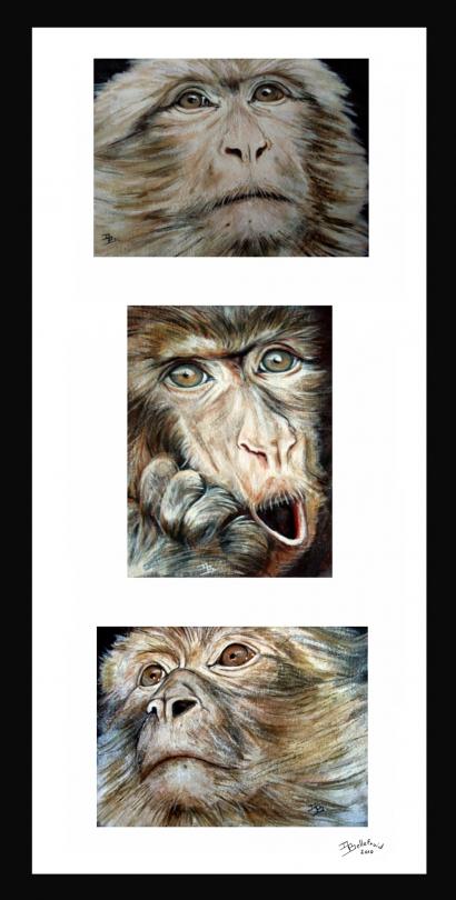 Les 3 singes - Danielle Bellefroid