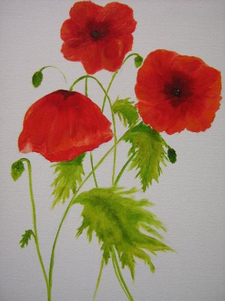 coquelicots - Corinne Cribier