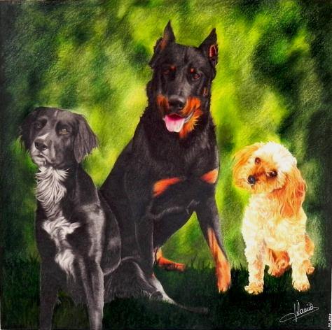 3 chiens - Jacques Dominé
