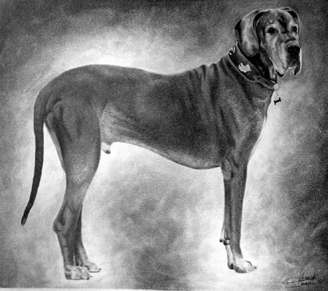 Dog argenté - Jacques Dominé