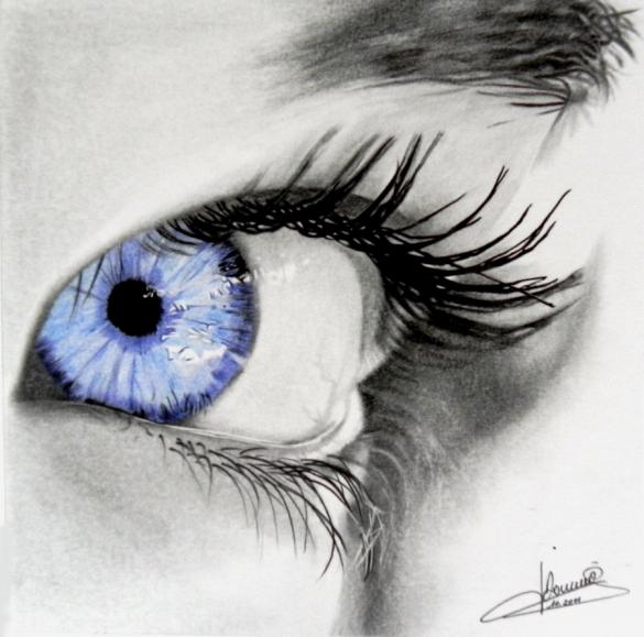 Iris bleu - Jacques Dominé - Click to enlarge
