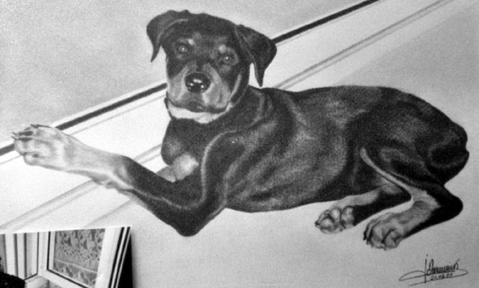 Rottweiler - Jacques Dominé - Click to enlarge