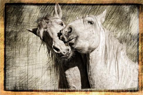 Bisous - Alain Gaymard