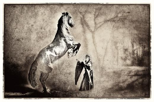 Zephyr et la dame blanche - Alain Gaymard