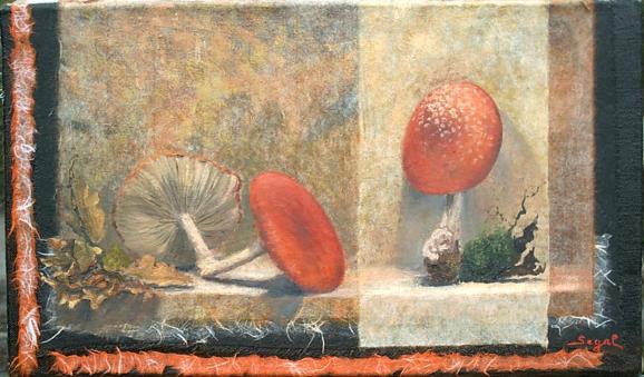 les champignons - Dominique Creismeas-Segal - Click to enlarge