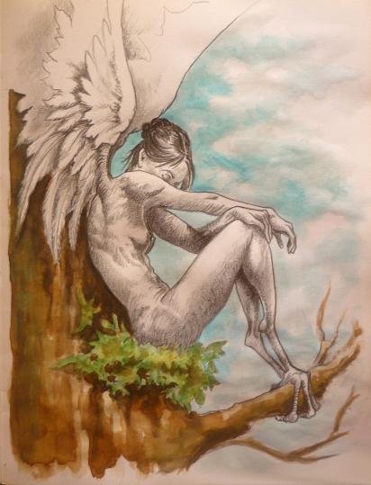 Bird - Albo