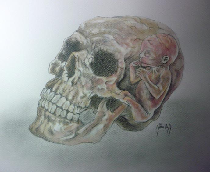 Memento Mori - Albo - Click to enlarge