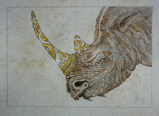 Rhinocéros2 - Albo
