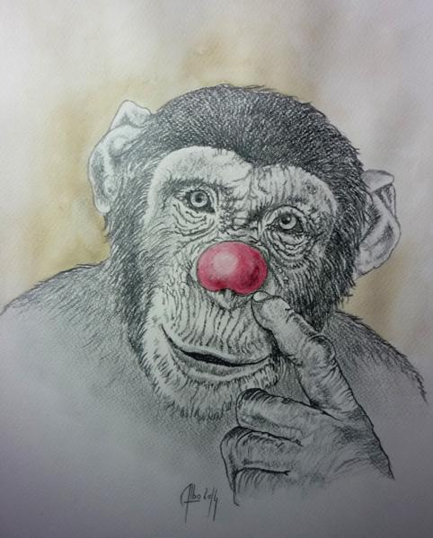 CLOWN - Albo