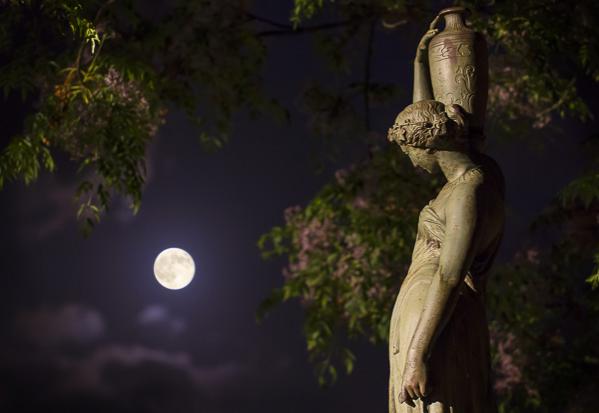 Rendez-vous nocturne - Florent Vassogne - Click to enlarge