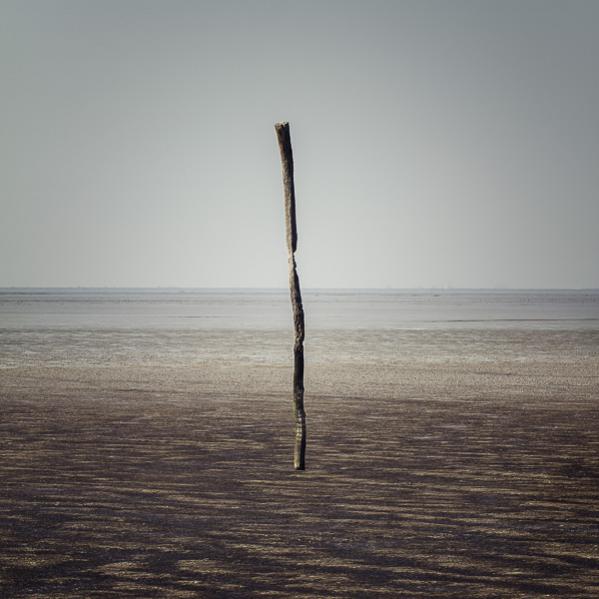 Totem - Florent Vassogne - Click to enlarge