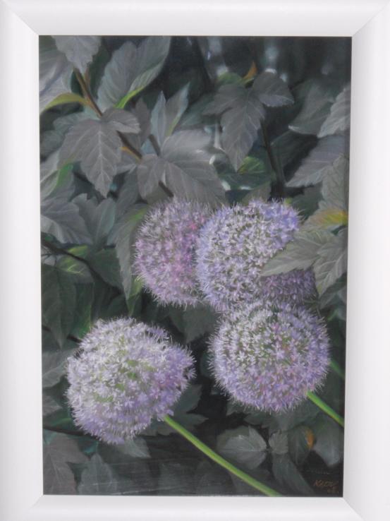 Allium - Kazuhiro Okabe