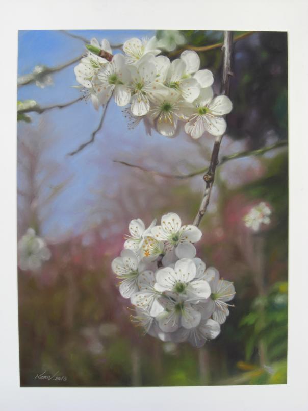 La fleur de prunier - Kazuhiro Okabe - Cliquer pour afficher en grand