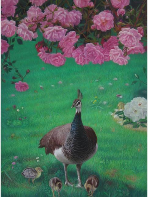 PAONS ET ROSIERS - Kazuhiro Okabe