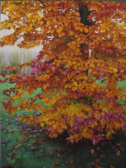 L'AUTOMNE 2012 - Kazuhiro Okabe