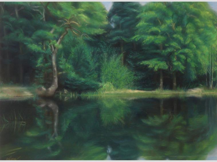 La mare aux canes - Kazuhiro Okabe - Cliquer pour afficher en grand