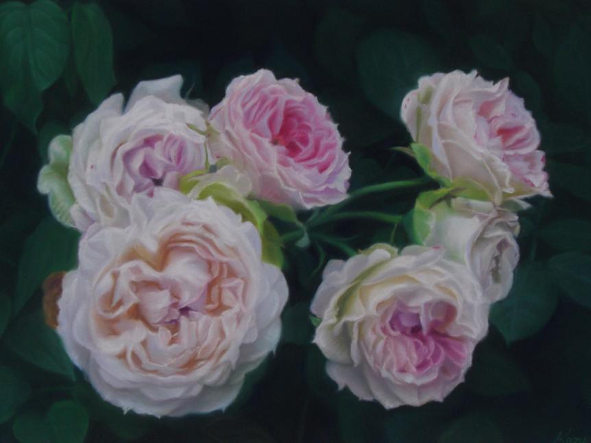 Roses 1 - Kazuhiro Okabe - Cliquer pour afficher en grand