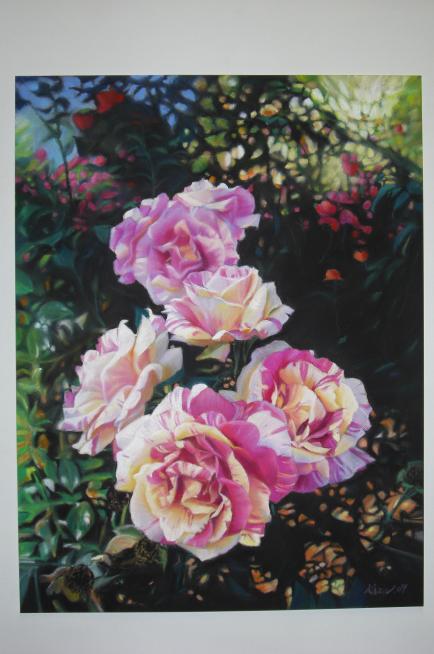 LES ROSIERS (Jardin de LAVAL) - Kazuhiro Okabe