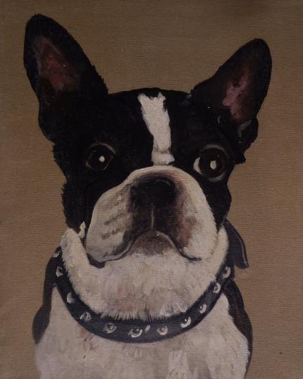 bulldog - Véronique de Soultrait