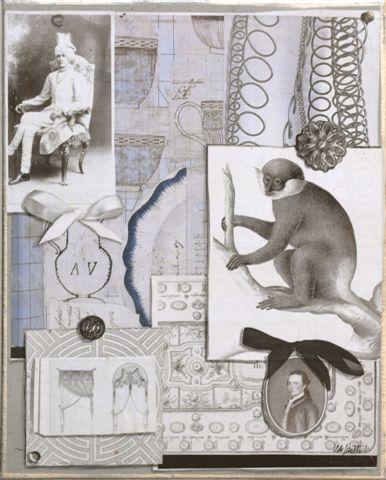le maharadjah et son singe - Véronique de Soultrait