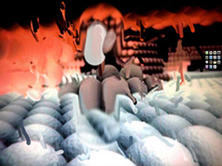 Slowburst - Immo Jalass - Click to enlarge