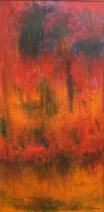 terre de feu - Colette Marchant