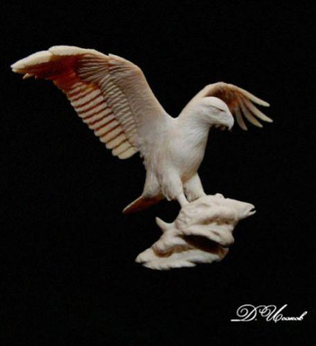 Sea eagle - Denis Isakov