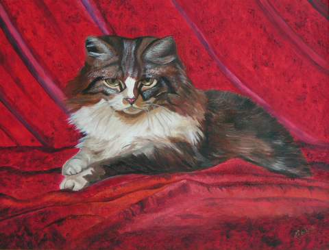 Le chat de velours - Nadia Loriot