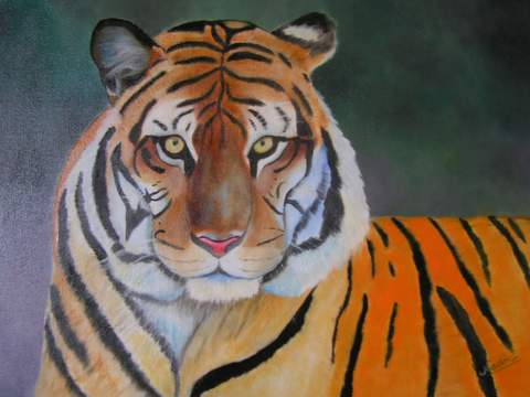 La force du tigre - Nadia Loriot