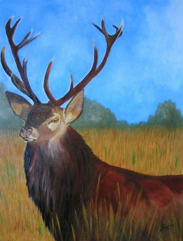 Un cerf paisible - Nadia Loriot
