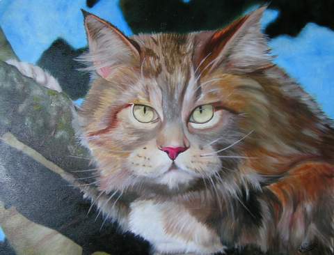 La fierté du chat - Nadia Loriot