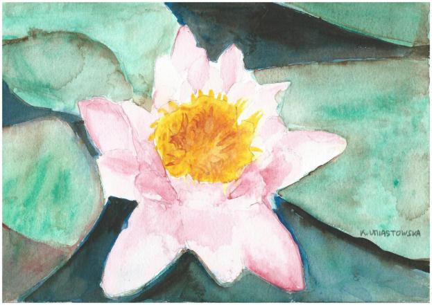 Fleur de lotus - Krystyna Umiastowska - Cliquer pour afficher en grand