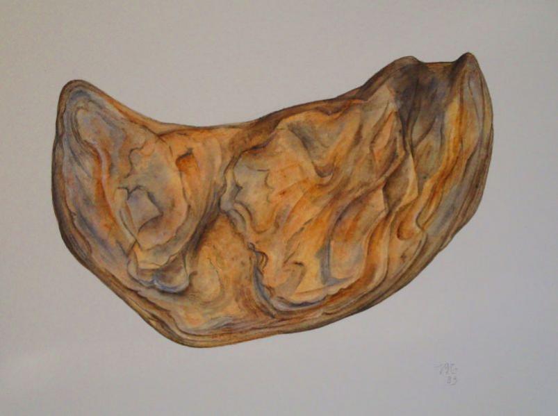 Galets (02) - Janine Gabet-Tissier - Click to enlarge