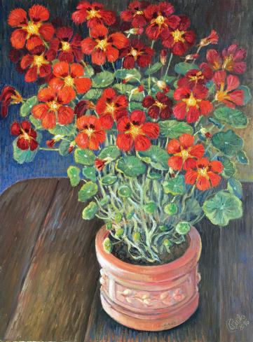 Ardentes capucines - balazs buda