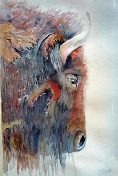 Bison - Paty Mawet