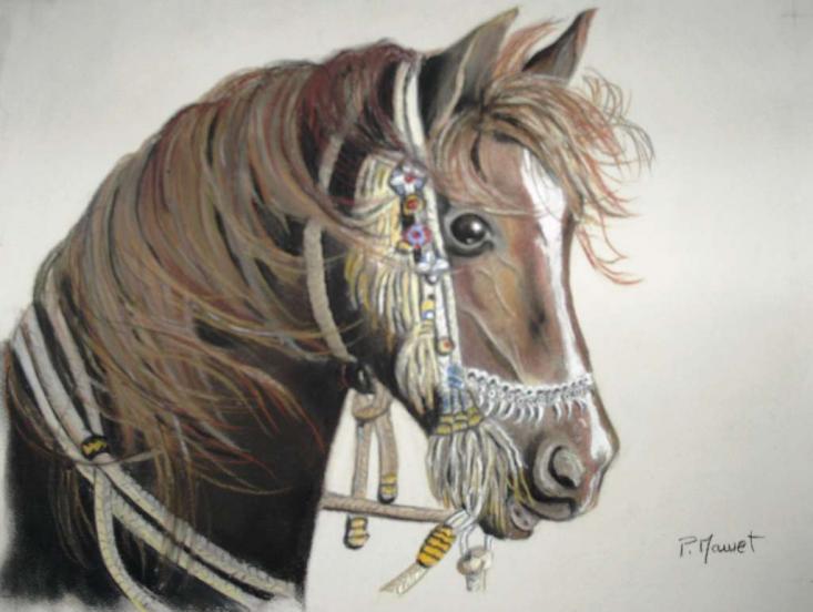 Cheval Arabe - Paty Mawet - Click to enlarge
