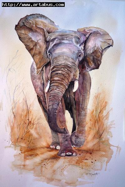 La charge de l'élephant - Paty Mawet