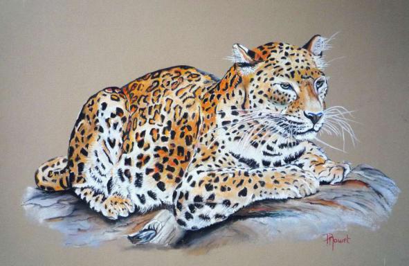 Leopard - Paty Mawet - Click to enlarge
