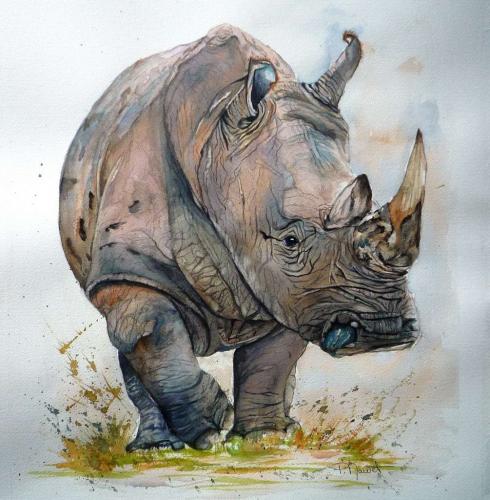 Le rhinocéros - Paty Mawet