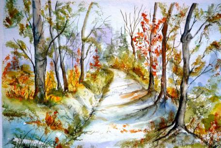 Le sous-bois - Paty Mawet