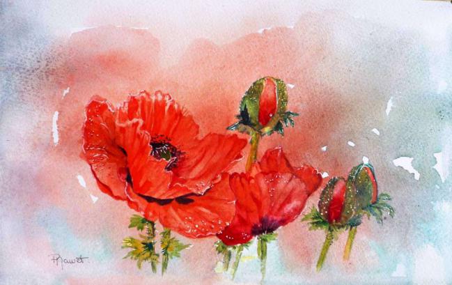 Pavots - Paty Mawet - Cliquer pour afficher en grand