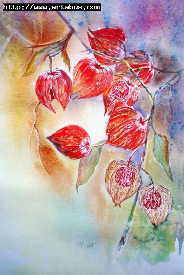 Physalis - Paty Mawet