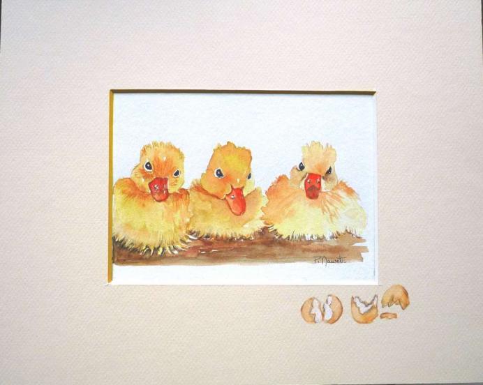 Sortir de sa coquille - Paty Mawet - Cliquer pour afficher en grand