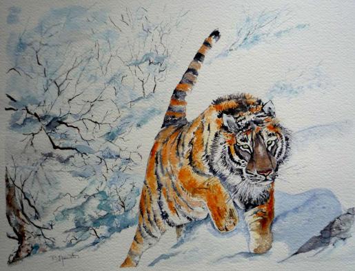 Tigre de Sibérie - Paty Mawet