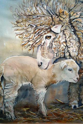 Moutons - Paty Mawet
