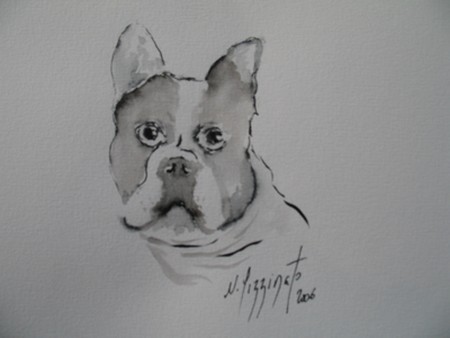 BOULEDOGUE FRANCAIS 242 - Nadine Pizzinato