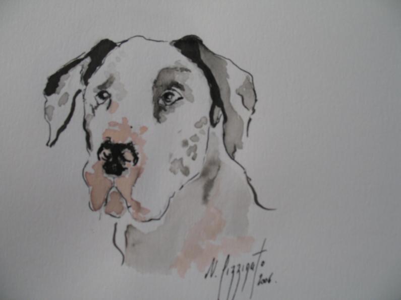 DOGUE ALLEMAND 239 - Nadine Pizzinato - Cliquer pour afficher en grand