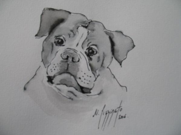 OLDD ENGLISH BULLDOGGE 249 - Nadine Pizzinato - Cliquer pour afficher en grand