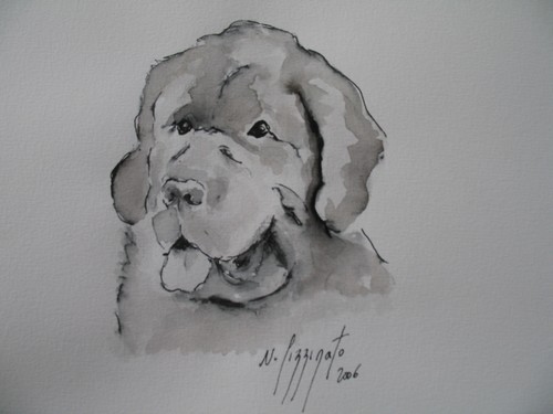 TERRE NEUVE 251 - Nadine Pizzinato